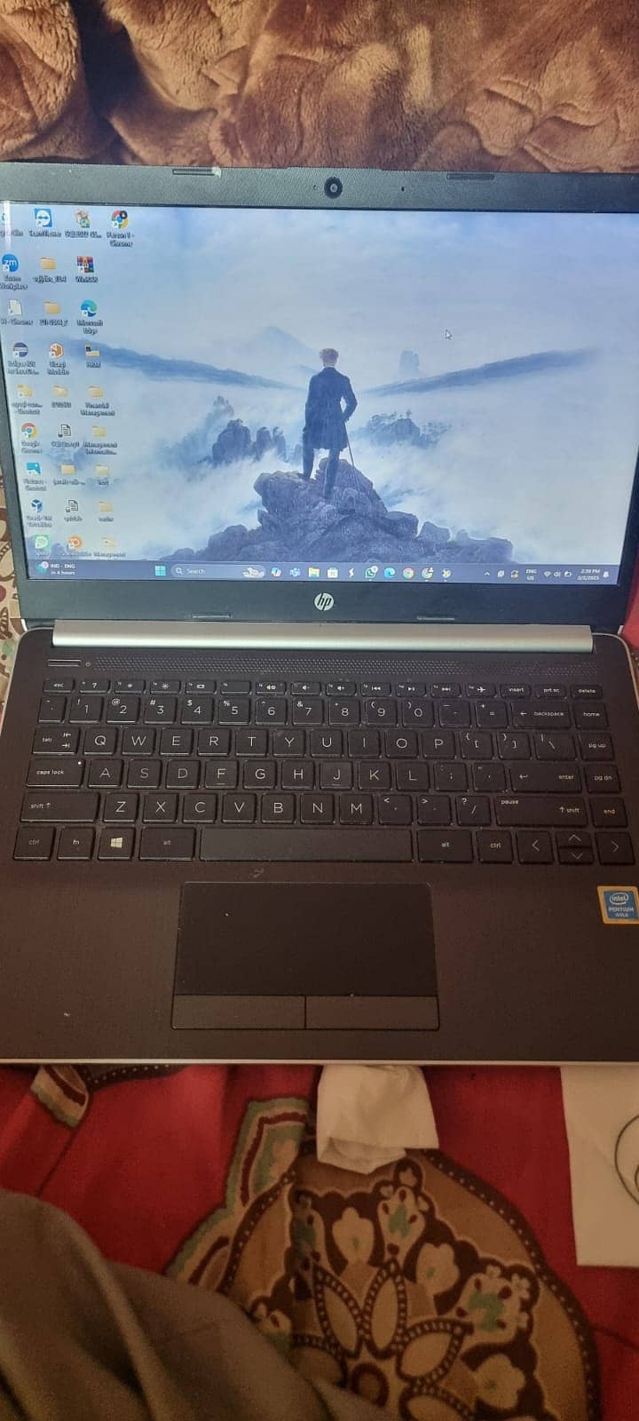 HP 14" Laptop with Windows 11 and Intel Pentium Gold 4