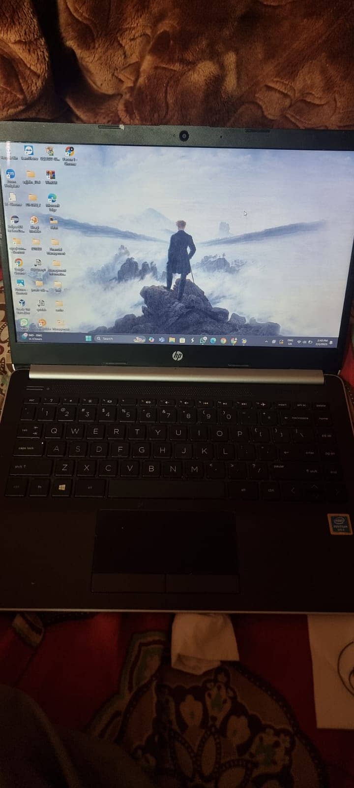 HP 14" Laptop with Windows 11 and Intel Pentium Gold 7