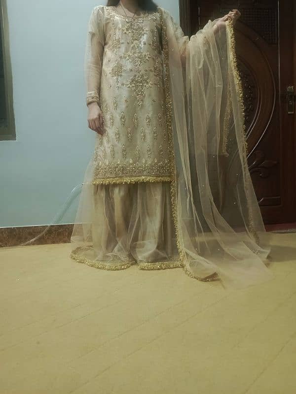 Nikkha dress / bridal dress/wedding dress/Nikkha dress 15