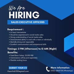 Sales executive required