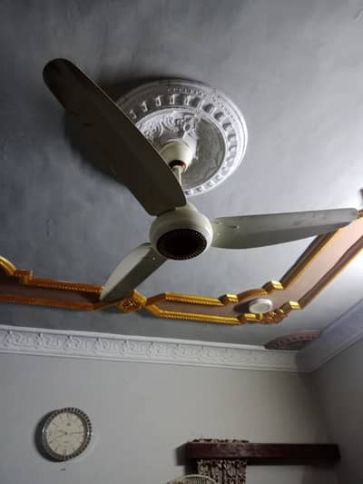 Ac, Dc fan Indus - Fans - 1098043755