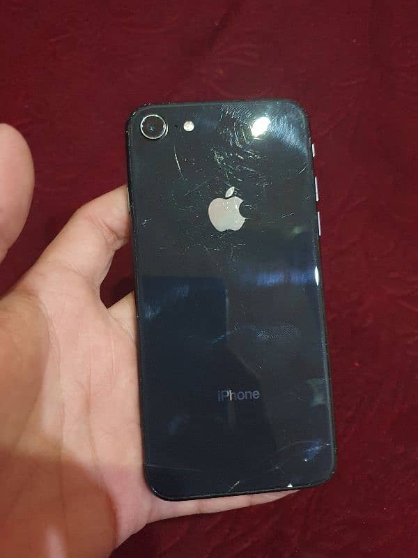 iphone 8  all ok 1