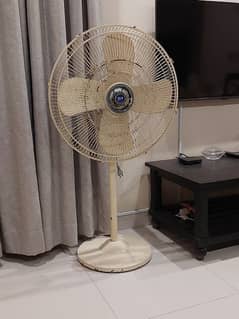 Pakfan 24" Pedestal Fan multiple pieces available