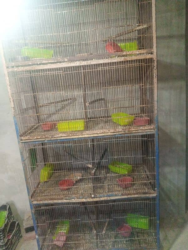 cage for sale 0