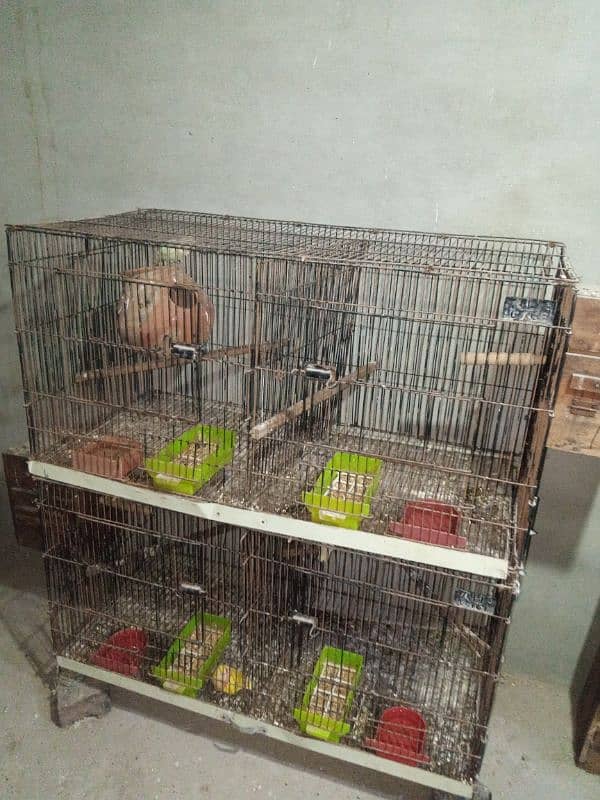 cage for sale 1