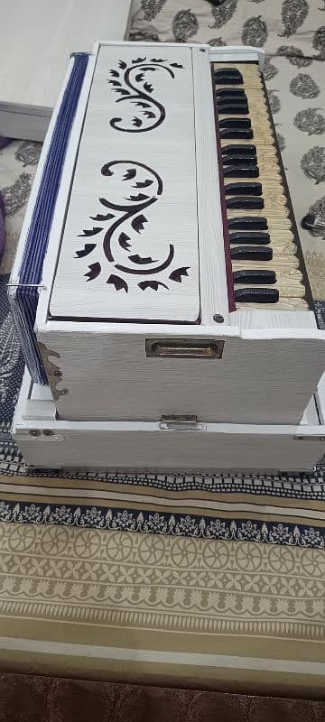 Indian Harmonium 2