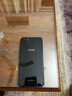 vivo