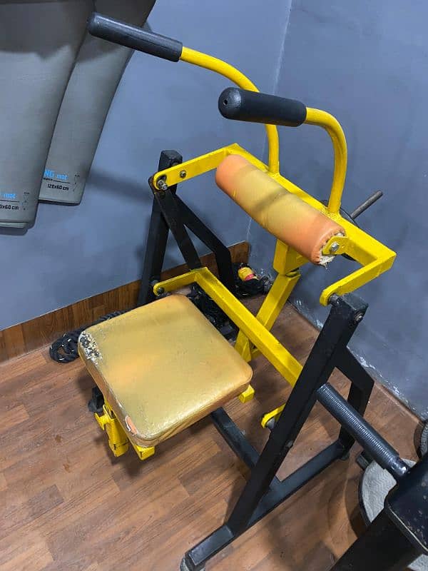 Abs machine and Bench 1