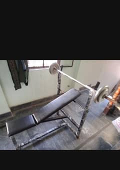 Gym Bench for different exercise