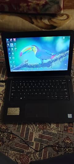 latitude 3380 core i3 6 gen