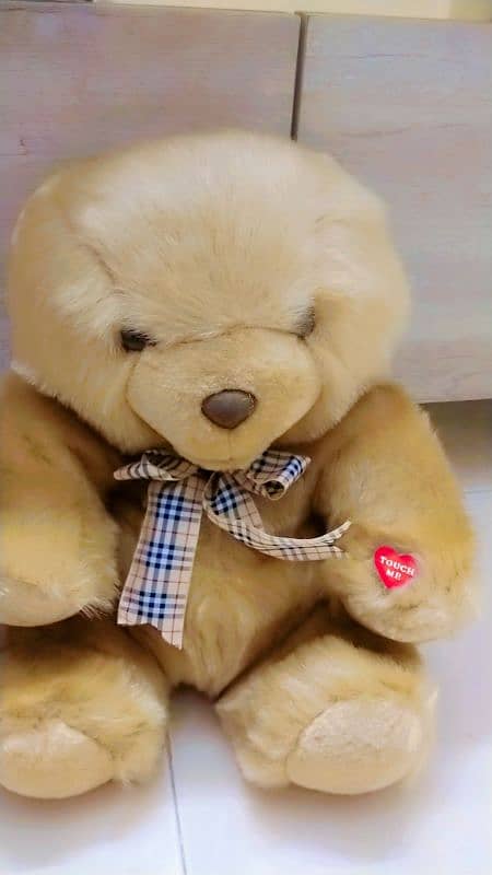 Teddy bear 1