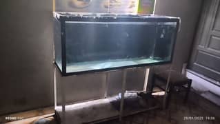 Koi shubankin goldfish along with 5 ft aquarium for sale