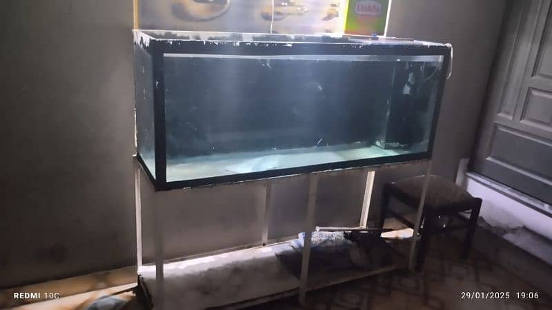 Koi shubankin goldfish along with 5 ft aquarium for sale 0