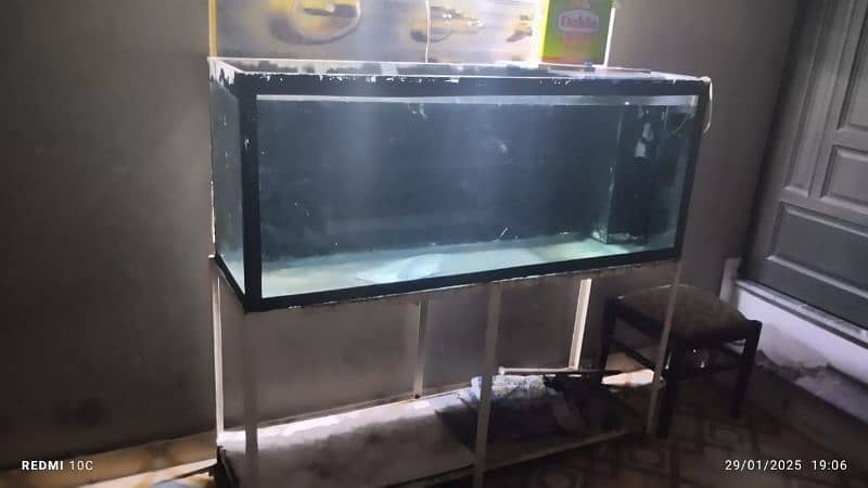 Koi shubankin goldfish along with 5 ft aquarium for sale 1