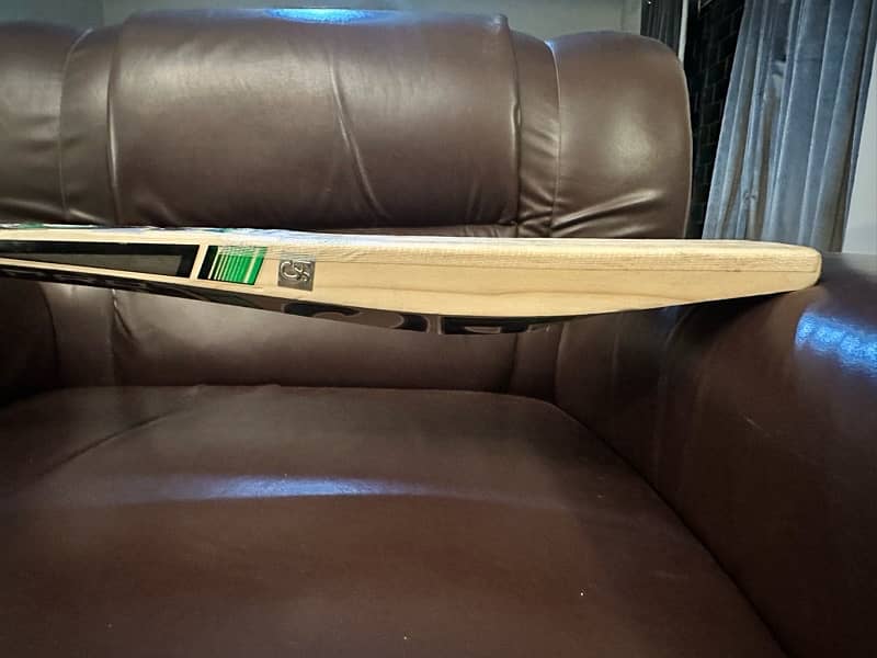 CA Pro 15000 Cricket Bat 2