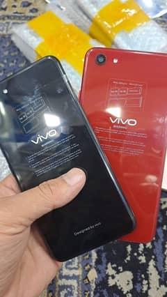 vivo