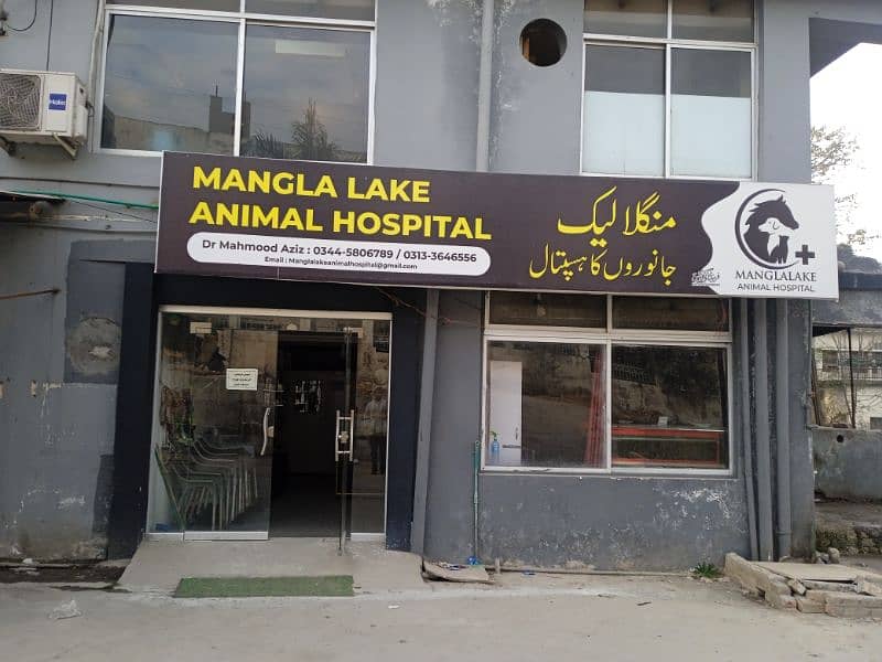 Animal Hospital For Sell Mirpur Ajk 0