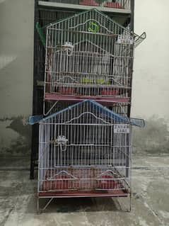 Cage for sale 2400