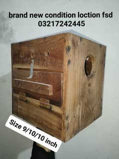 Finches+Birds+Kikar boxes for sale 03217242445