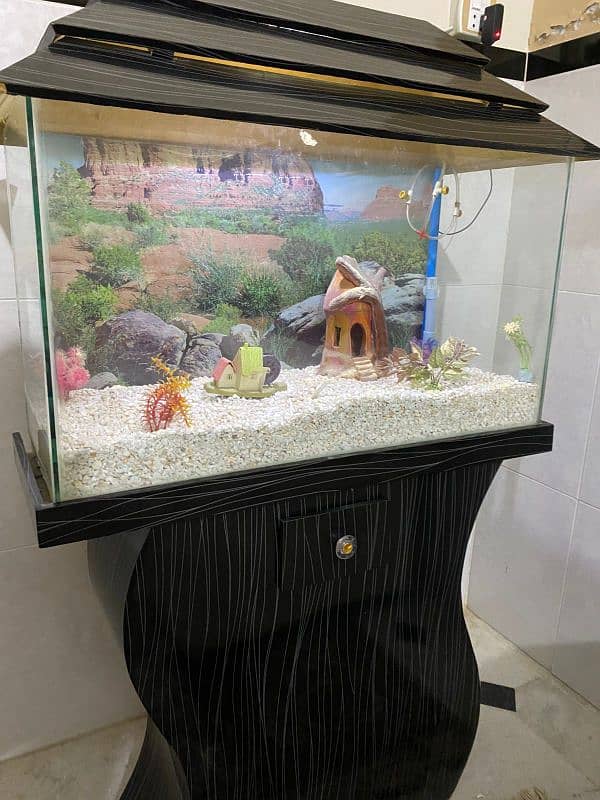 Fish brand new aquarium 1