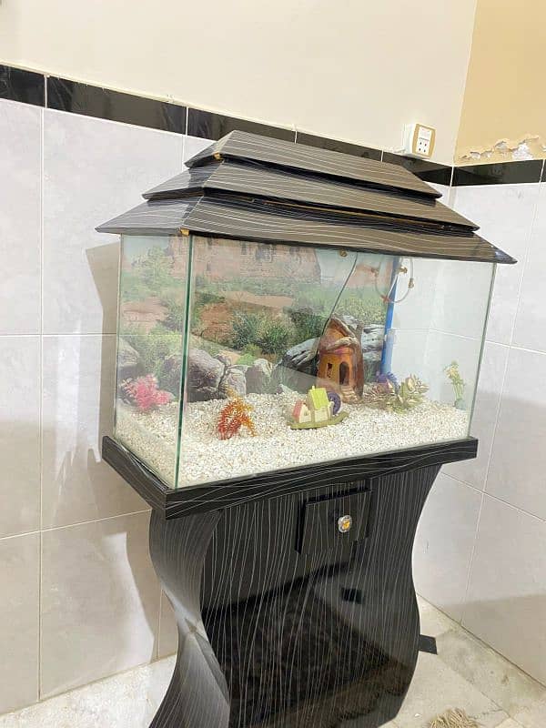 Fish brand new aquarium 3