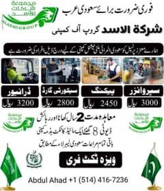 Saudi Arabia jobs available