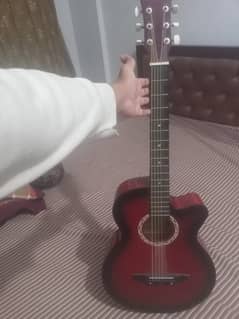 Acoustic Guitar 6 Strings