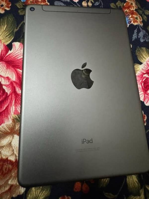 iPad Mini 5 (Sim + Wifi) 0