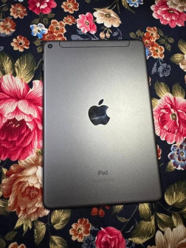 iPad Mini 5 (Sim + Wifi) 1