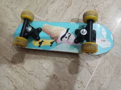 Double Rocker Skateboard