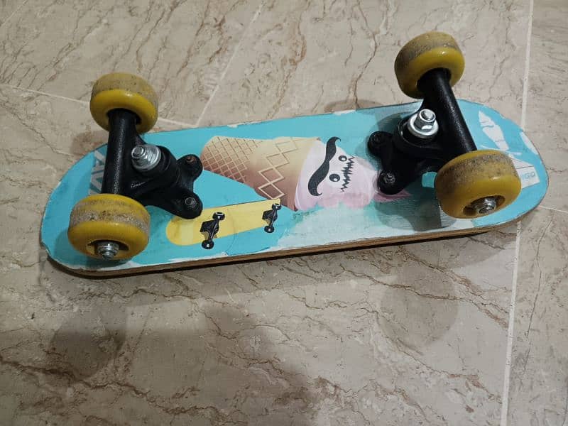 Double Rocker Skateboard 3