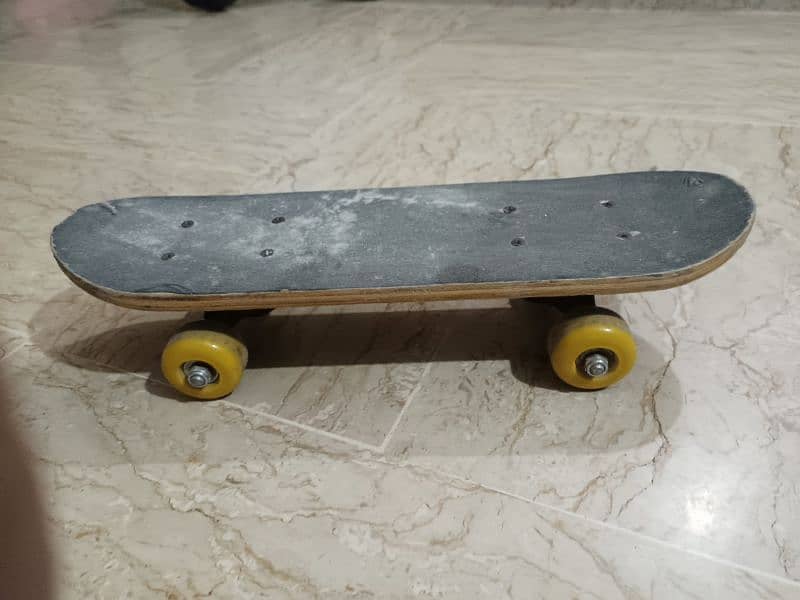 Double Rocker Skateboard 4