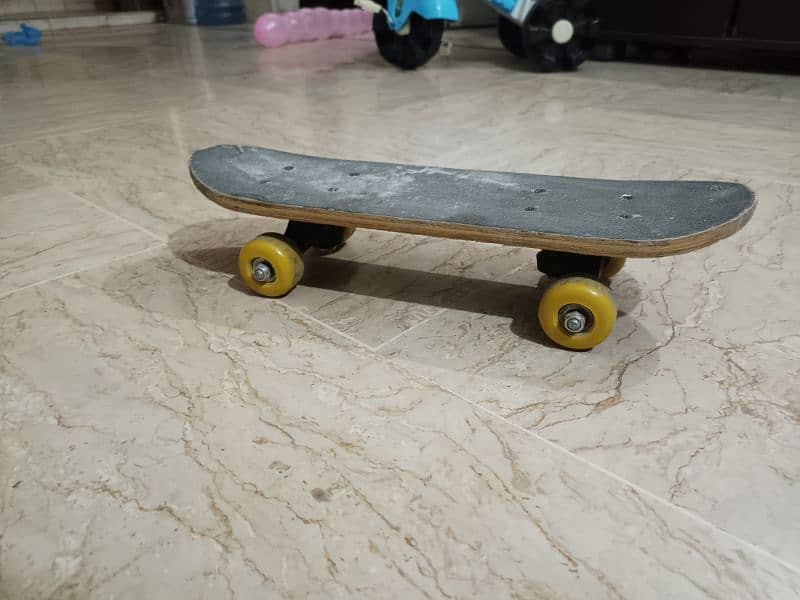 Double Rocker Skateboard 5