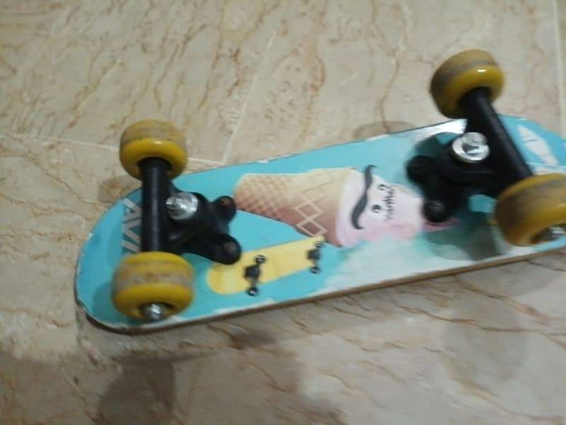 Double Rocker Skateboard 9