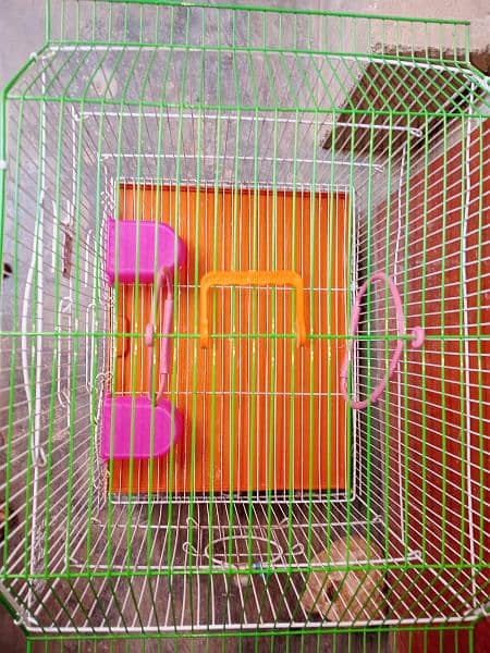 New Cage for sale 2