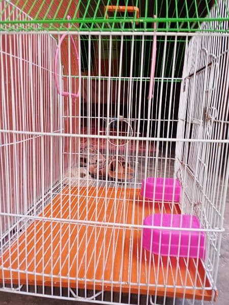 New Cage for sale 3