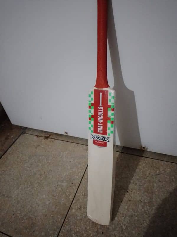 Cricket Bat 2