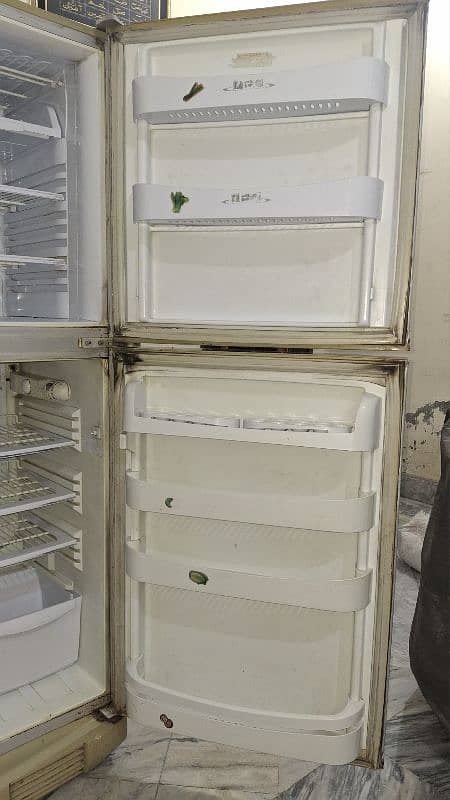 PEL Fridge ( Full Size) 5