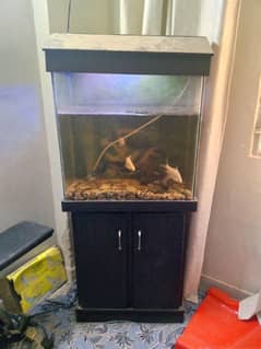 Fish Aquarium 2 x 2 with 8mm glass