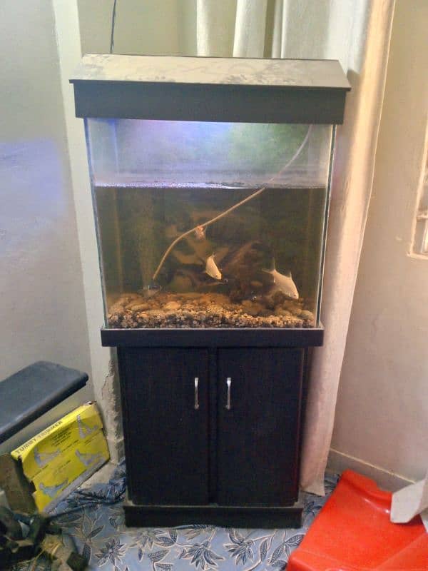 Fish Aquarium 2 x 2 with 8mm glass 0