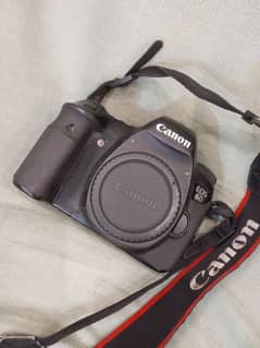 Canon 6D body 70-200 lens