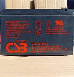 Dry Battery