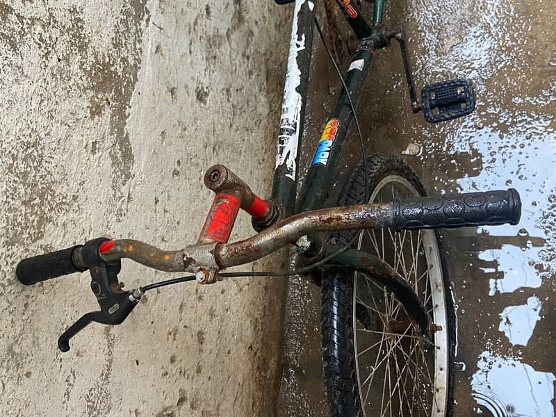 FULL SIZE CYCLE 2