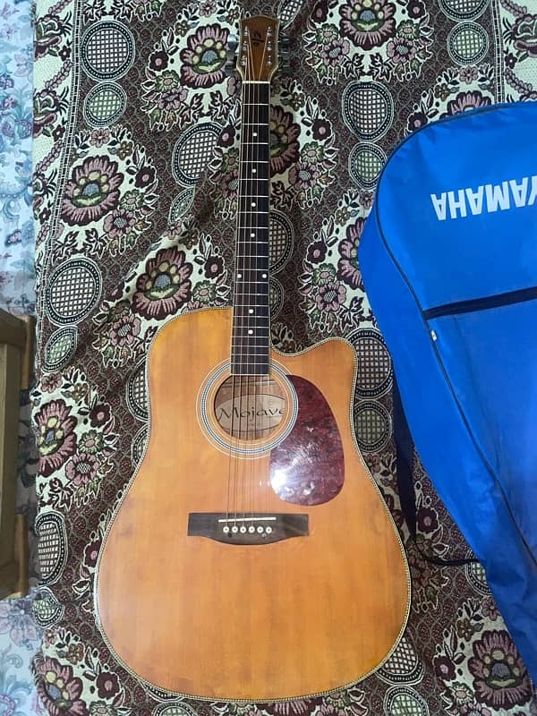 Indiana Semi-Acoustic Guitar 2