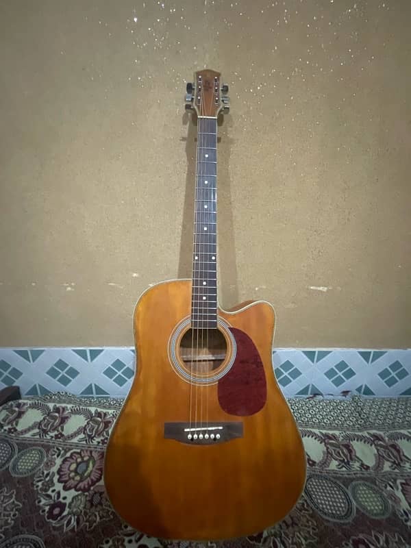 Indiana Semi-Acoustic Guitar 7