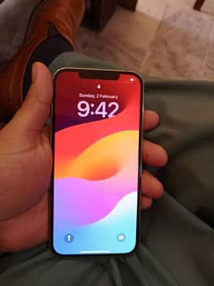 I phone 12 pro max