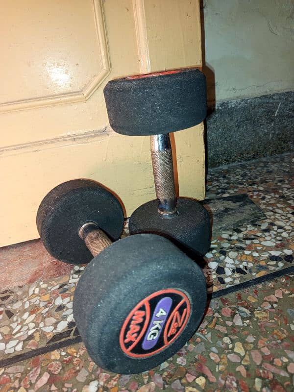 Set of 2 dumbbells,4kg each 0