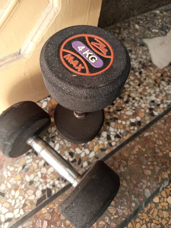 Set of 2 dumbbells,4kg each 3