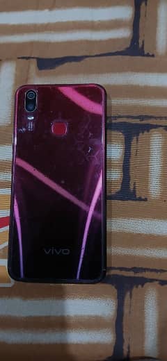 vivo