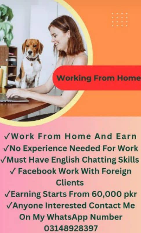 Work From Home, Use Your Facebook To Earn In Dollars 1